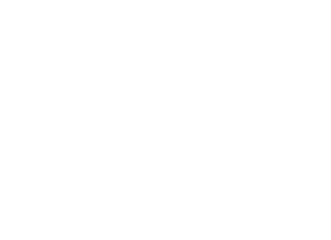 bl2ski logo weiss